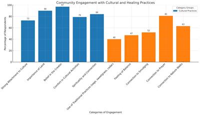 From trauma to resilience: advancing cultural responsiveness and equity in the Muskowekwan First Nation’s healing journey